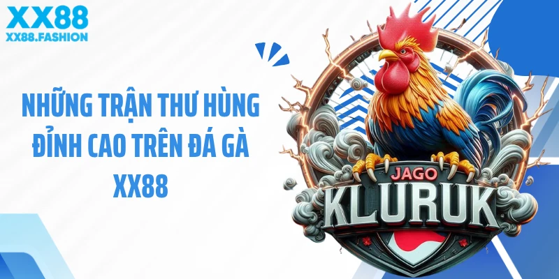 Những trận thư hùng đỉnh cao trên đá gà XX88